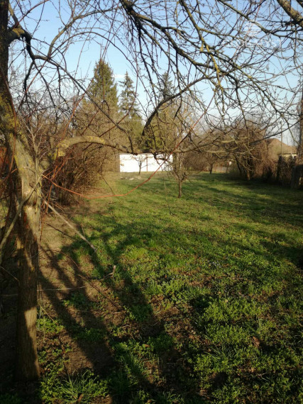 Ponúkame na predaj sedliacky dom - v obci Pácin