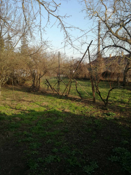 Ponúkame na predaj sedliacky dom - v obci Pácin