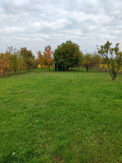 Ponúkame na predaj priestranný rodinný dom v srdci Tokajskej vínnej oblasti – Slovenské Nové Mesto.