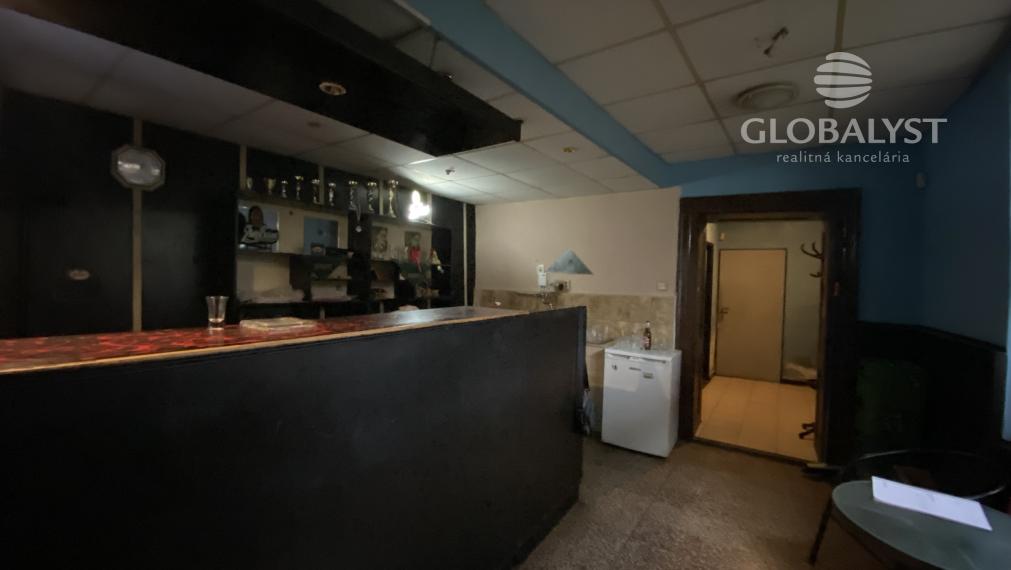 Dom na podnikanie v centre Moldavy