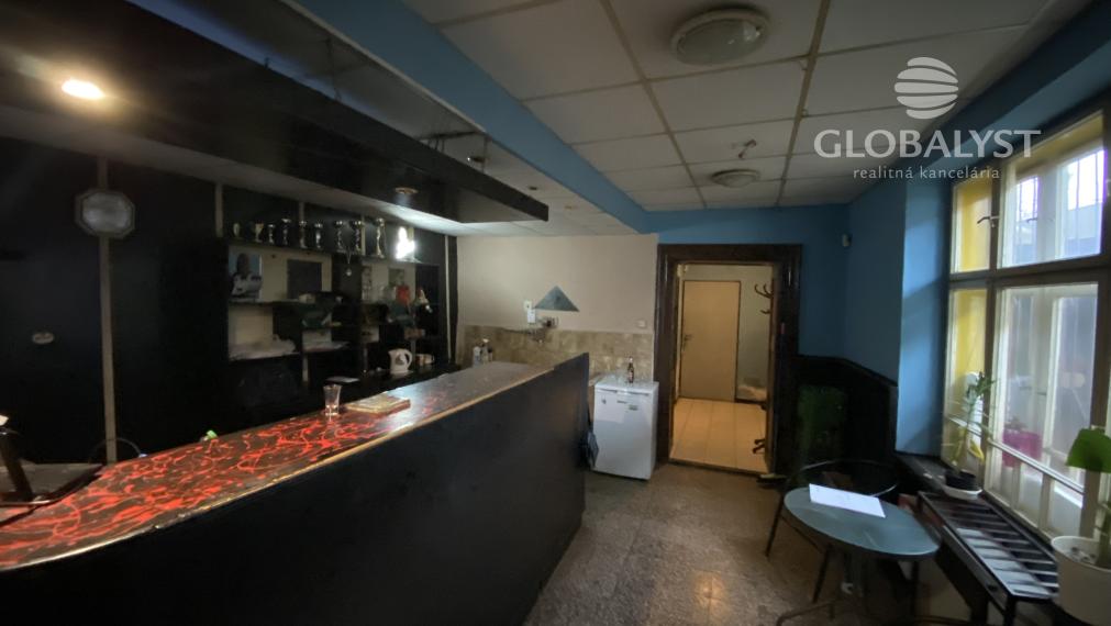 Dom na podnikanie v centre Moldavy