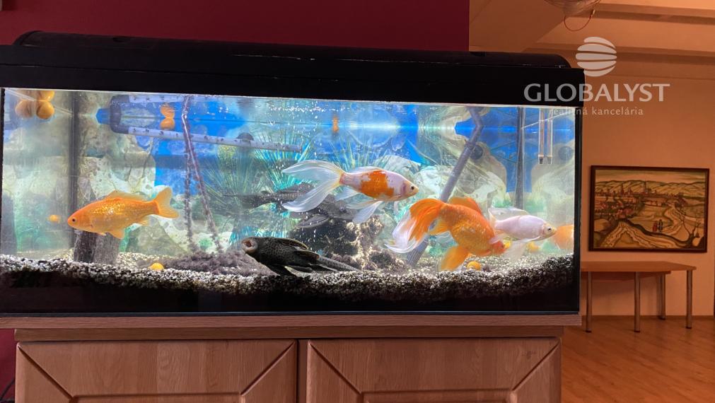 Kancelárske priestory : 73,5  m2, v širšom centre mesta