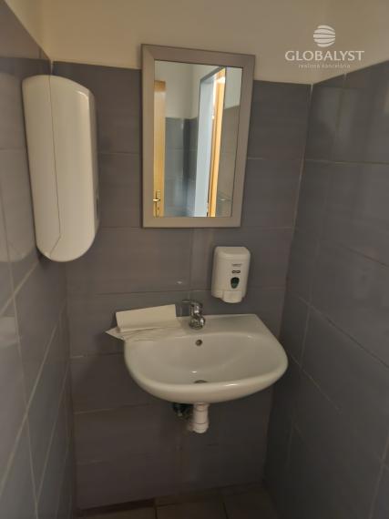 Showroom a luxusné obchodné priestory : 315 m2 - na Juhu