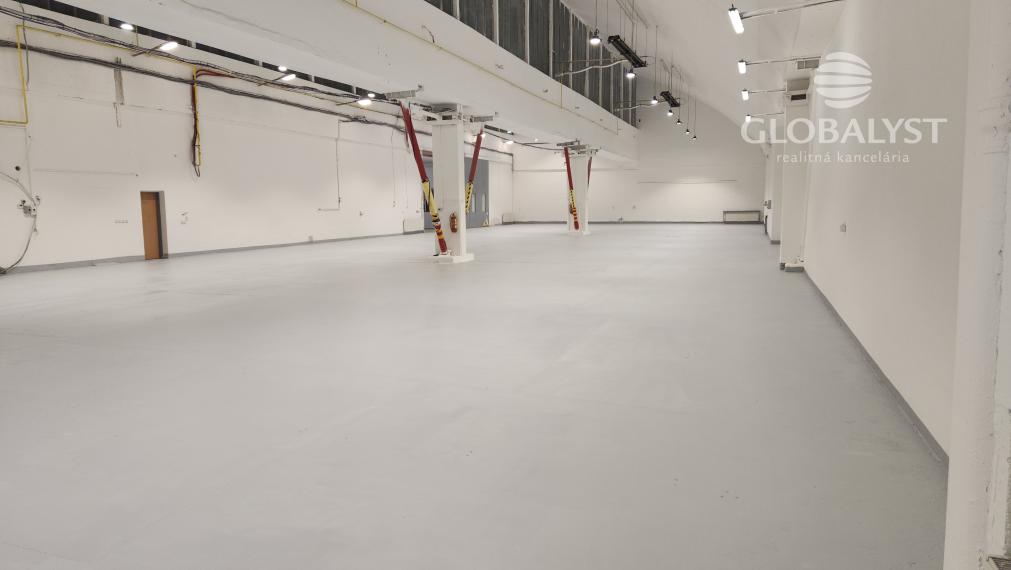 Showroom a luxusné obchodné priestory : 315 m2 - na Juhu