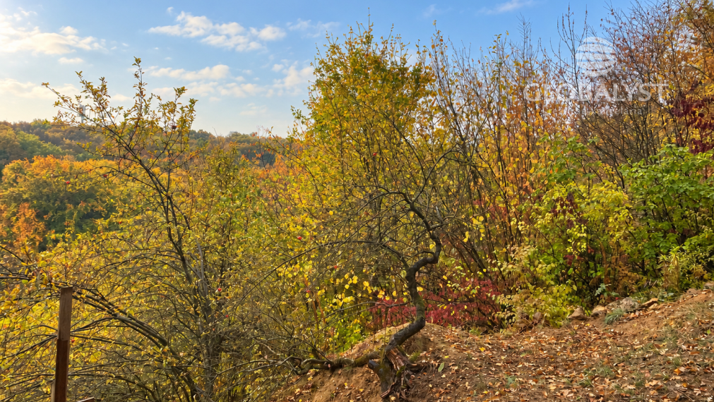 Slnečný pozemok - 805 m2 -  nad údolím Suchodolinskej