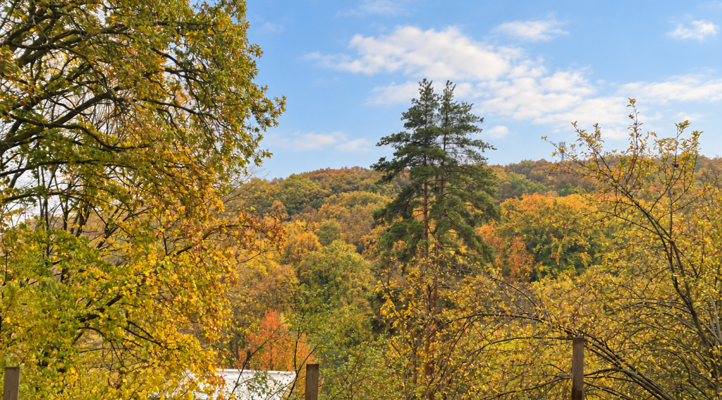 Slnečný pozemok - 805 m2 -  nad údolím Suchodolinskej